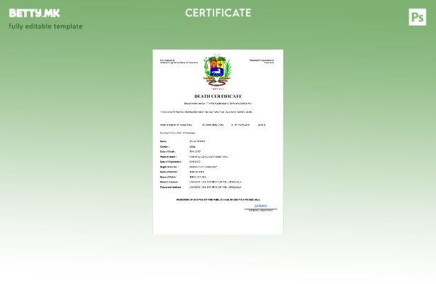 модерен стил Венецуела од витално значење за умрениот шаблон Word и PDF шаблон